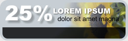 25% LOREM IPSUM dolor sit amet magna